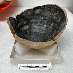 pXRF confirmed this olive jar vessel has a dark green, lead glaze on the interior.