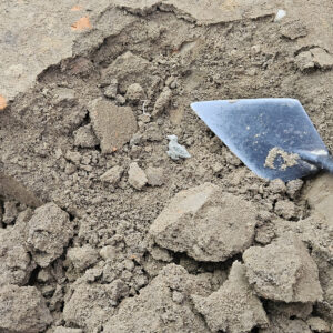 The martlet tack shortly after its discovery by Staff Archaeologist Natalie Reid.