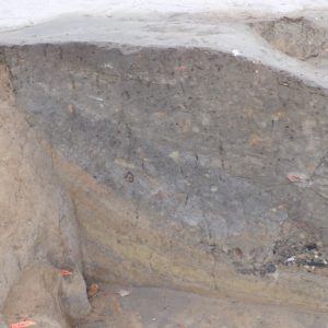 Feature in the corner of an excavation unit