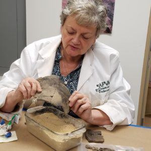 Curator holding mended Native American pot