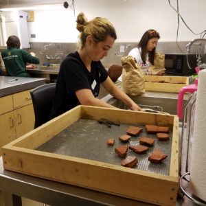 Students washing artifacts in a lab next to trays of artifacts