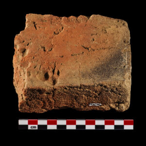 Red burned brick fragment with dog prints. Dog prints have nail marks.
