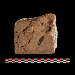 Brick fragment with partial dog print 5"x4-7/8" x2-1/4"