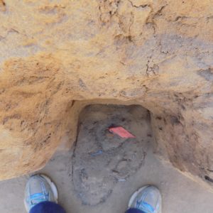 Outlined feature in excavation unit