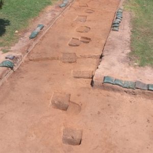 Line of large postholes in an excavation unit