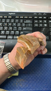 Assistant Curator Lauren Stephens holds a newly-mended section of the chafing dish. A hole, used to let oxygen in to feed the fire, was found and can be seen in the foreground of the photo.