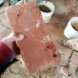 Hand holding brick with pawprint impression
