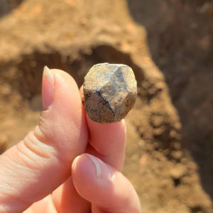 A larger rosehead nail, probably for a door, found in the excavations north of the Church Tower.