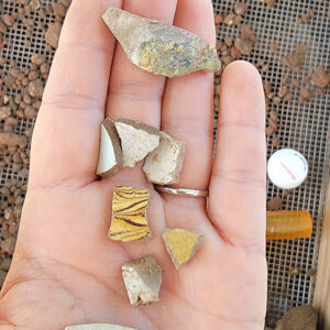 A sample of ceramic sherds found while screening for artifacts in front of the Archaearium.