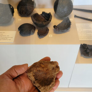 The exploded grenade fragment in front of other grenades on display in the Archaearium.