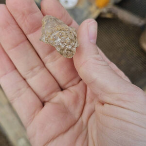 A partial glass raspberry prunt found in the cellar excavations