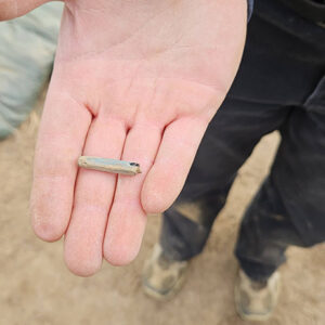 The Nueva Cadiz bead found in the cellar