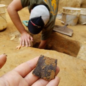 Turtle shell fragment and archaeologist excavating in the background