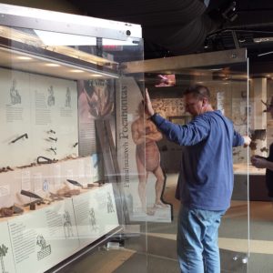 Staff cleaning glass of museum exhibits