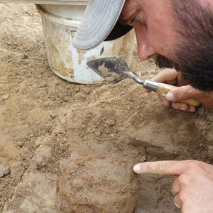 Archaeologist points to an artifact in situ