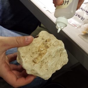 Limestone fragment being tested with hydrochloric acid