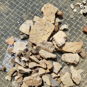 Assortment of pottery sherds in a screen