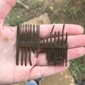 The wooden comb found in the Governor's Well