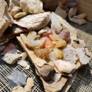 Assortment of lithic flakes in a screen