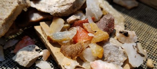 Assortment of lithic flakes in a screen