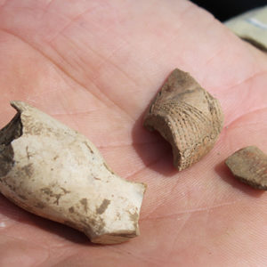 Hand holding three clay pipe fragments