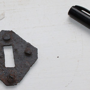 Conserved lockplate next to a pen for scale
