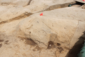 flag marking a posthole in a large excavation area