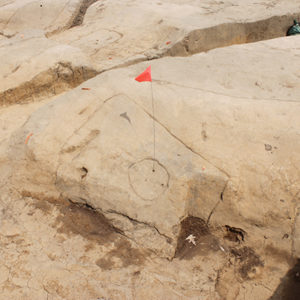 flag marking a posthole in a large excavation area