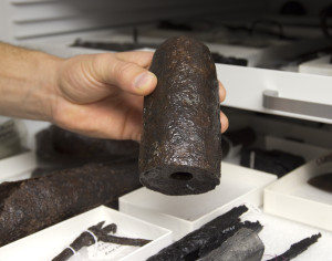 Conserved goffering iron