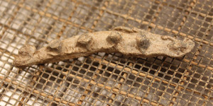 lead runner in a screen