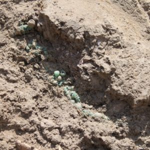 Green beads in situ