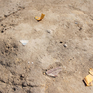 Outlined excavated posthole with two in situ ceramic sherds visible on the surface