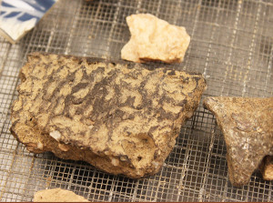 Native pottery sherd and assortment of other ceramic sherds in a screen