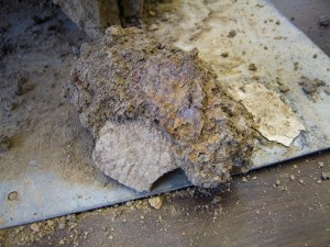 Pottery sherd fused to iron armor piece