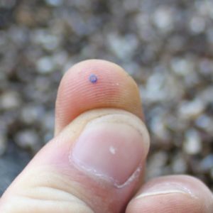 Small blue glass bead