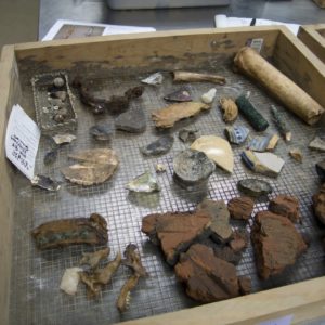Tray of artifacts