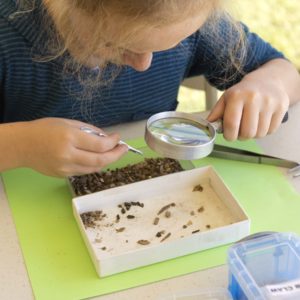 girl using a magnifying glass and tweezers to sort small artifacts