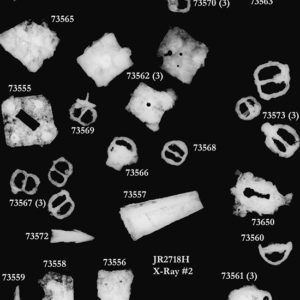 X-ray of an assortment of small artifacts