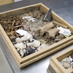 Tray of artifacts on a lab table