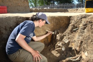 Archaeologist brushing artifacts in an excavation unit wall