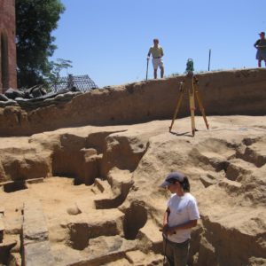 Archaeologist stands in excavated cellar while others watch from ground level