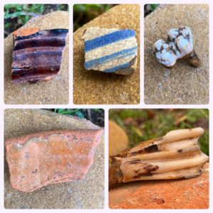 collage of ceramic sherds and animal teeth