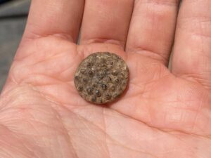 Raspberry glass prunt