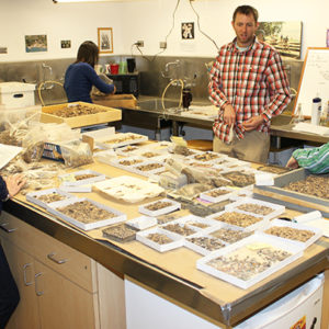 three staff members talking around a table covered in small trays of artifacts