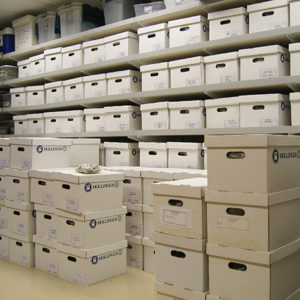 Boxes stacked on shelves and on the floor