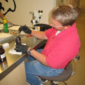 Seated conservator using a paintbrush to apply solution to a corroded goffering iron