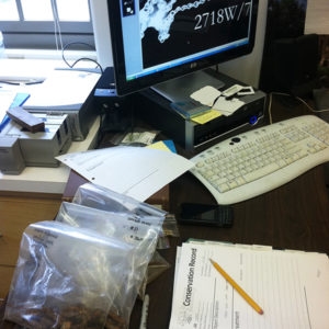 plastic bags with artifacts, notebook and pencil, and computer screen showing the x-ray of a chain sitting on a desk