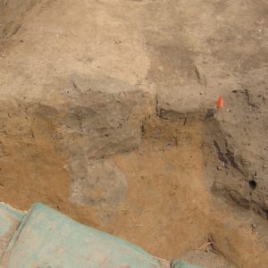 Posthole in an excavation unit
