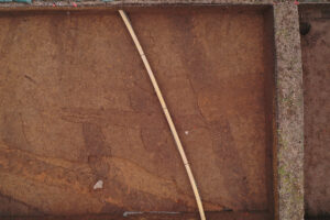 A closeup of the squares containing the 1608 palisade extension. The burial is the horizontally-positioned oblong-shaped feature near the right side of the photo. The dark stains running roughly parallel to the yellow conduit are planting furrows.