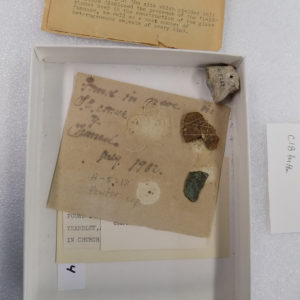 Artifacts and old label in a box